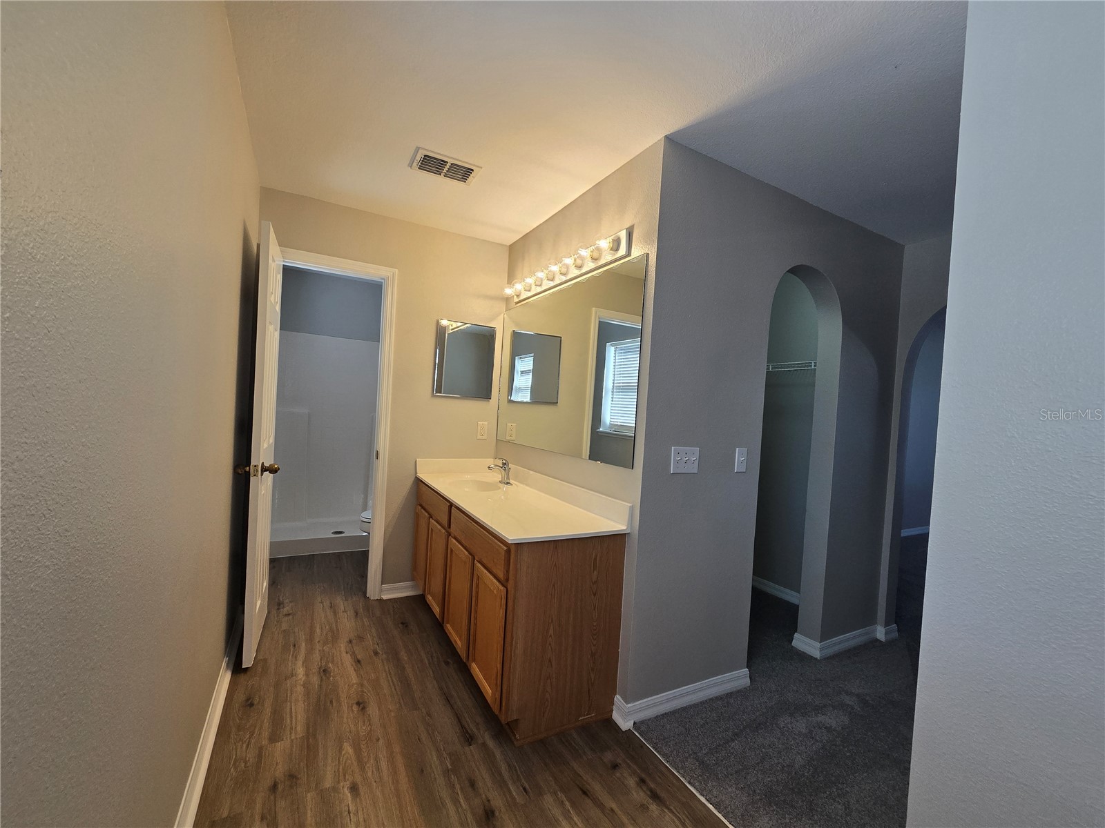 13404 Copper Head Drive Riverview FL 33569 TB8516227 image28