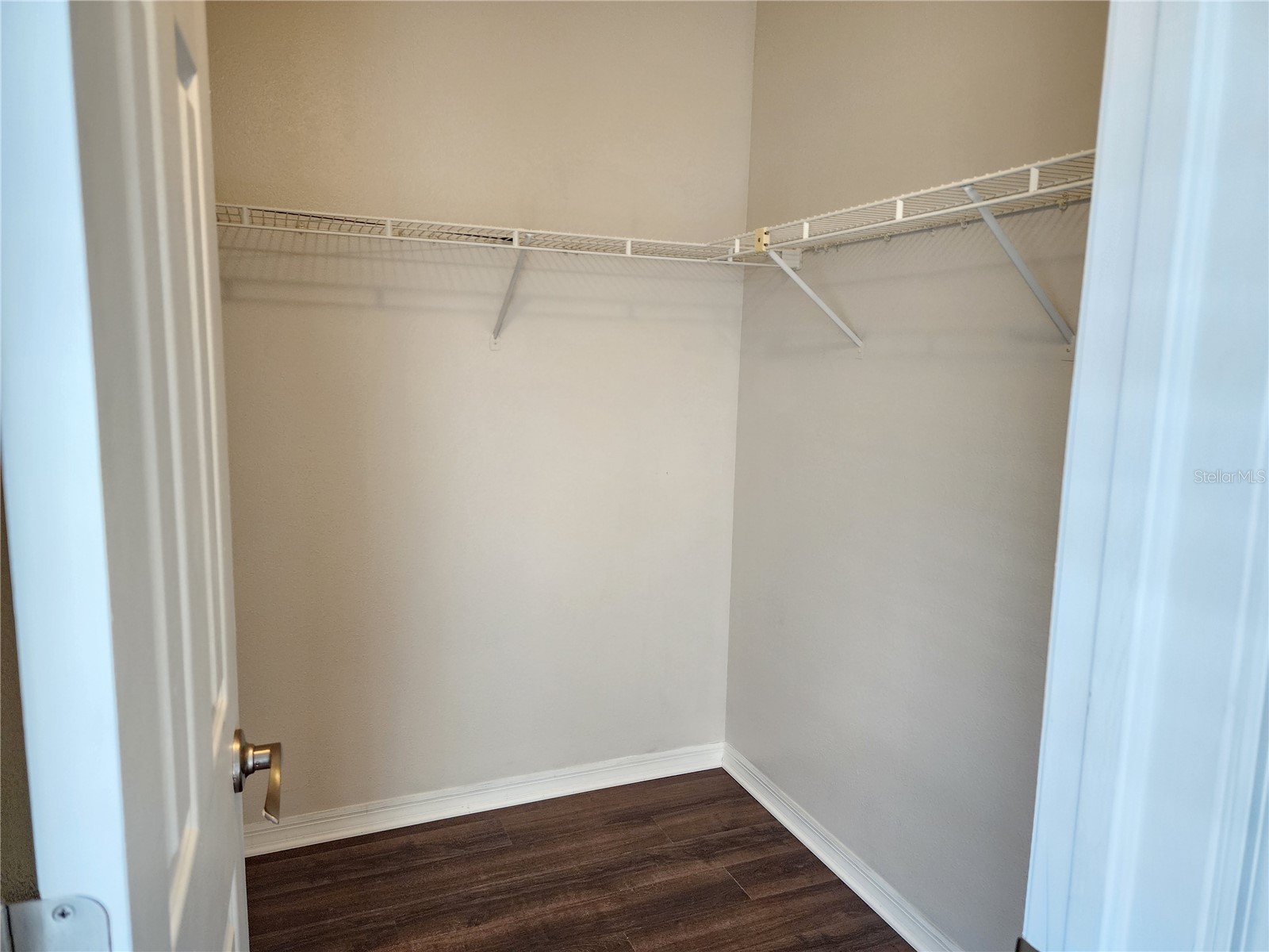 13404 Ironton Drive Tampa FL 33626 TB8525785 image10