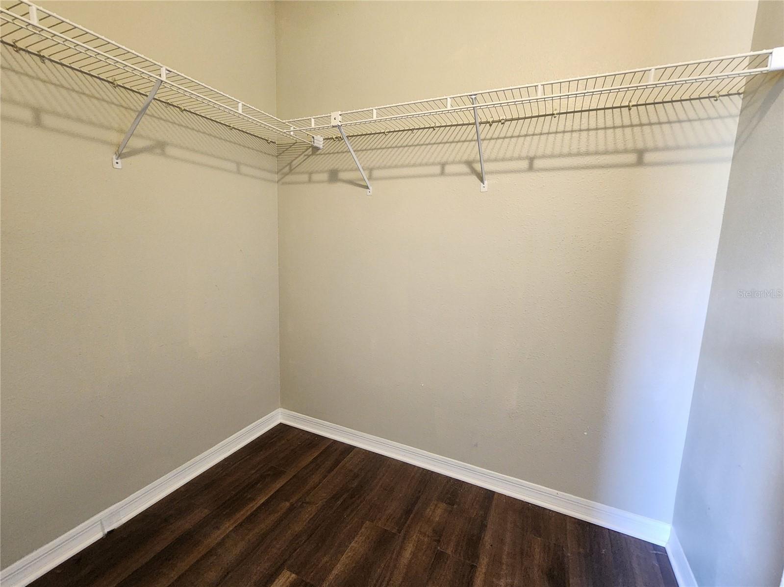 13404 Ironton Drive Tampa FL 33626 TB8525785 image9