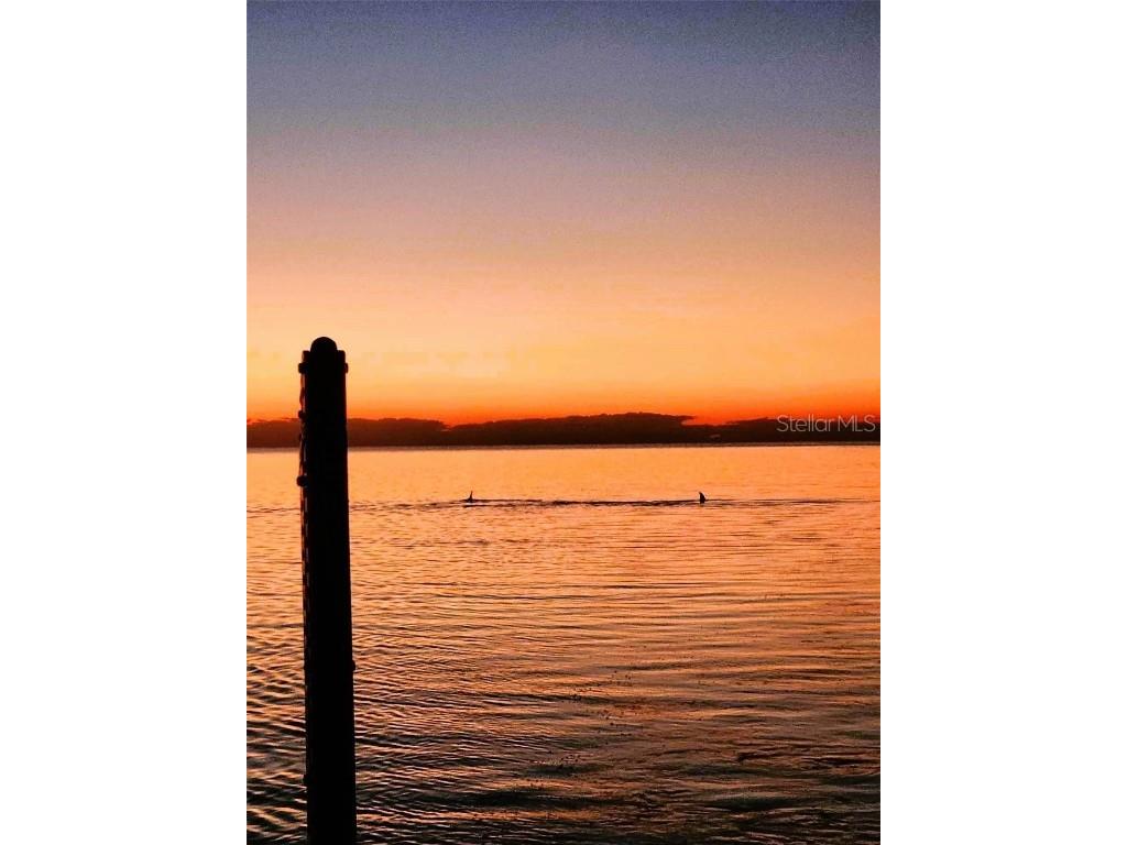 13404 Susan Drive Hudson FL 34667 - GULF OF AMERICA W7876979 image4