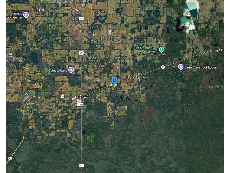 13405 Cr 719 Webster FL 33597 A4697200 image4