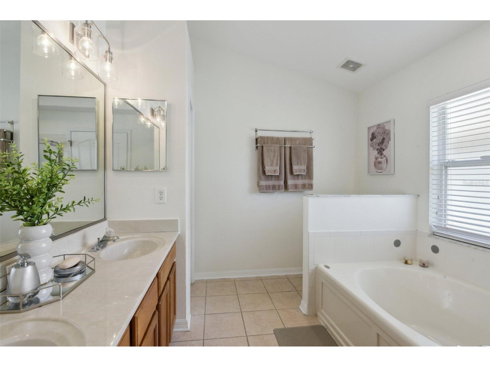 13405 Fawn Springs Drive Tampa FL 33626 O6386382 image15