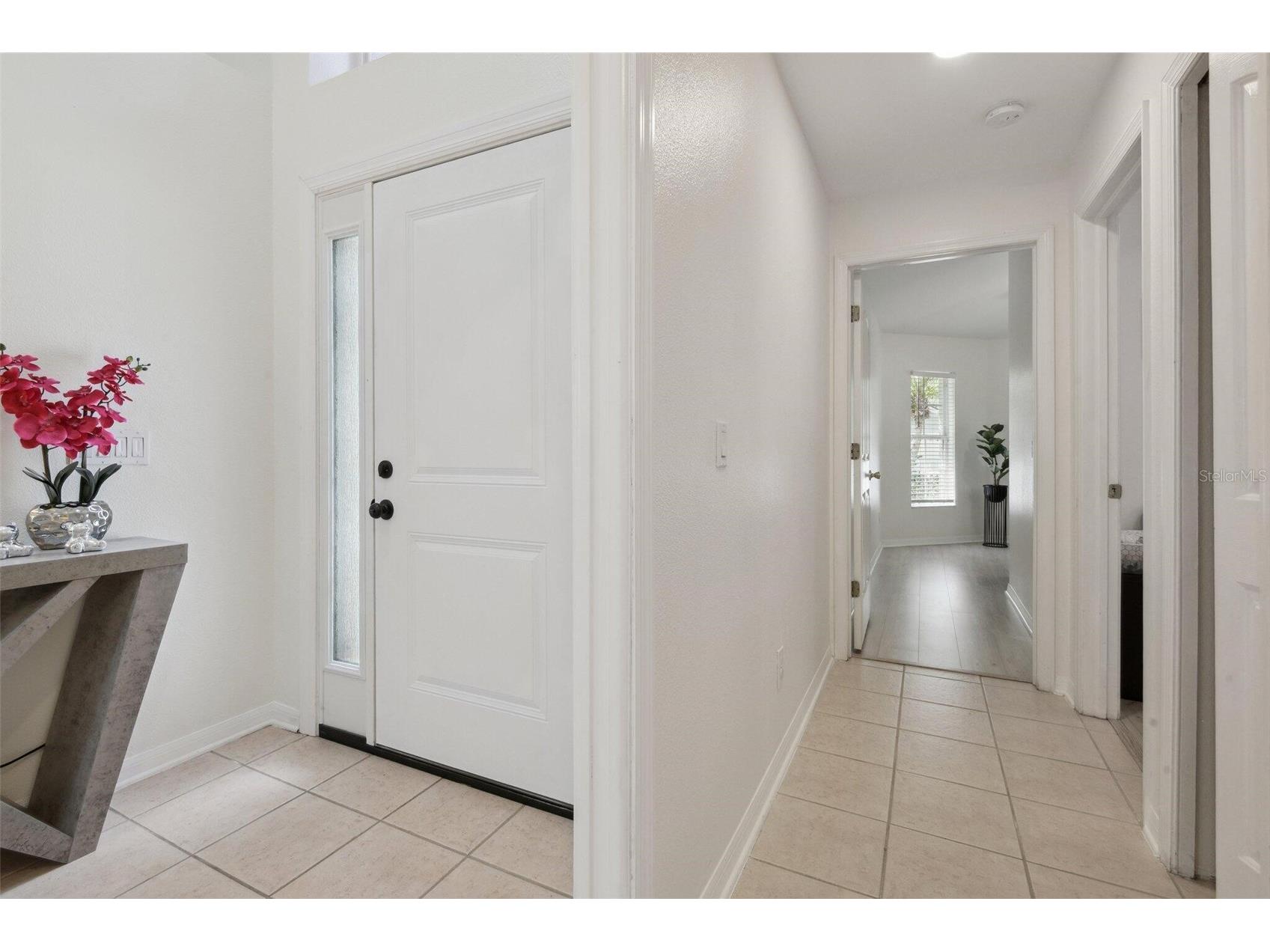 13405 Fawn Springs Drive Tampa FL 33626 O6386382 image16