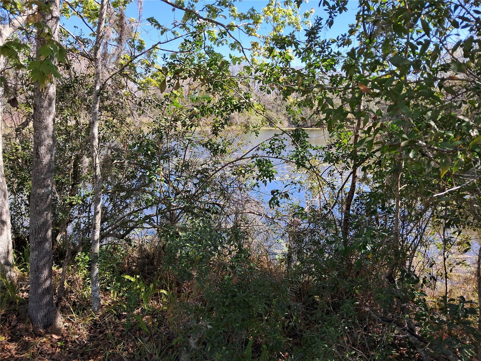 13405 Fawn Springs Drive Tampa FL 33626 O6386382 image22