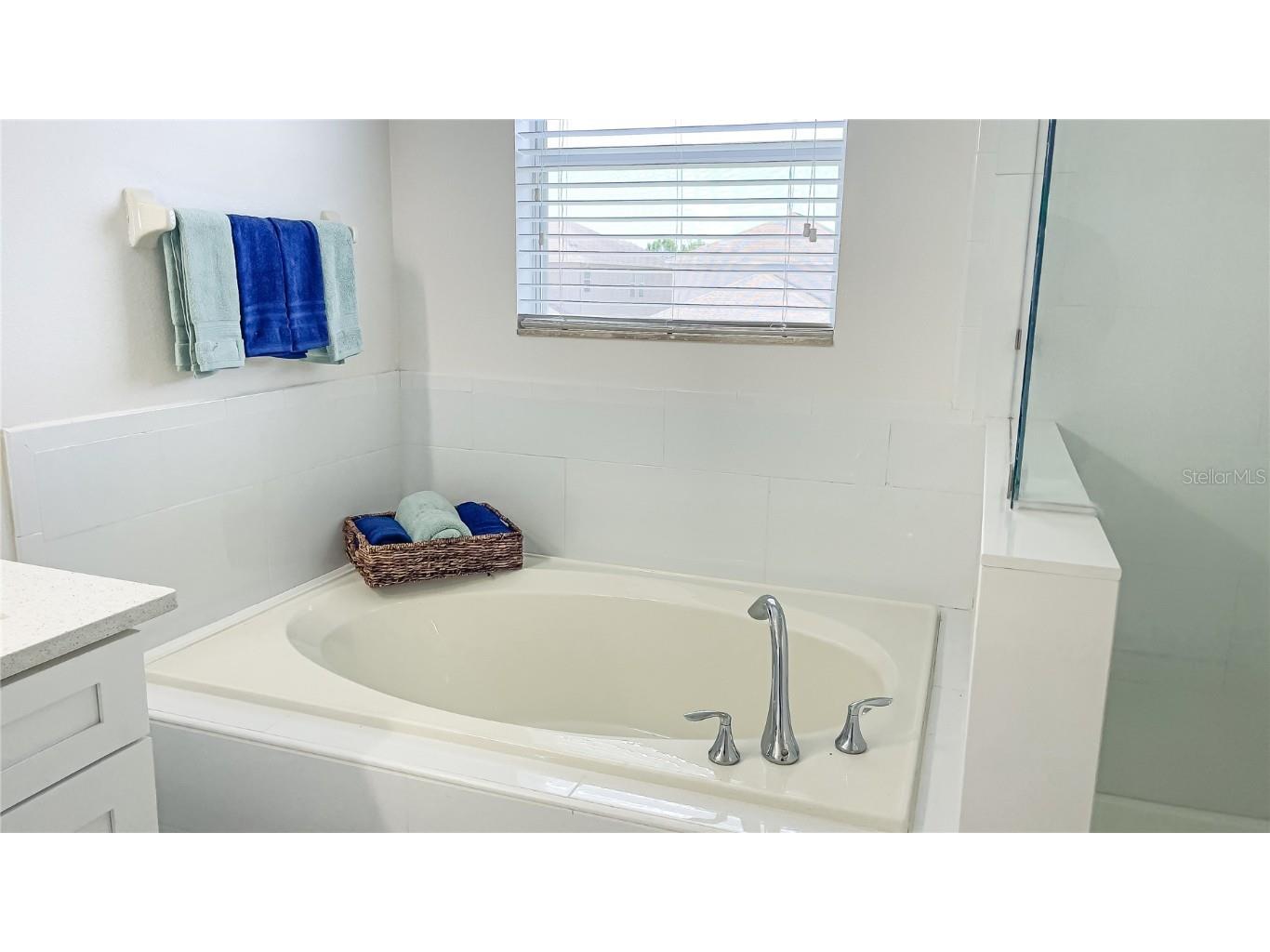 13405 Lake Monroe Place Riverview FL 33579 TB8419452 image15