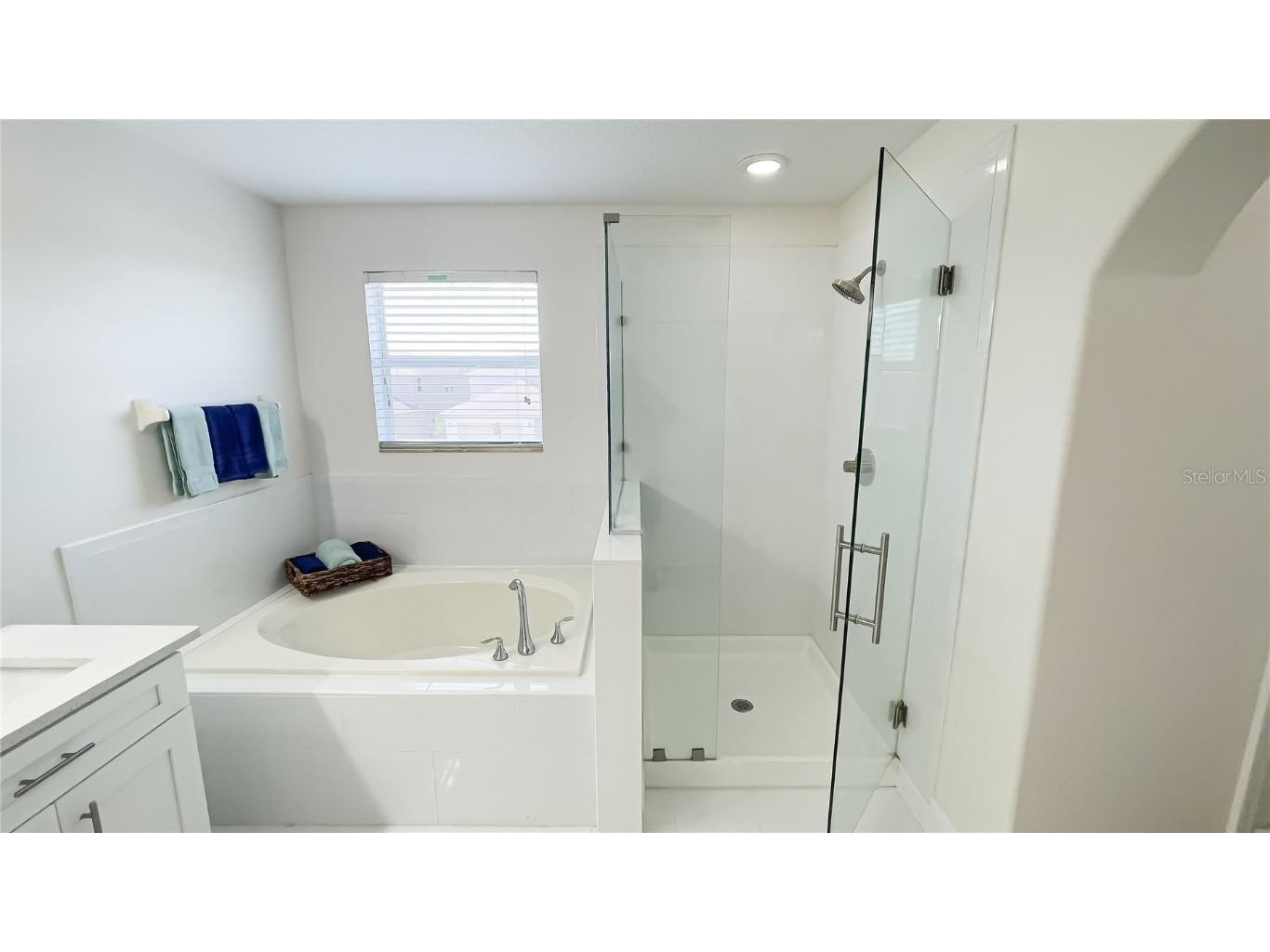 13405 Lake Monroe Place Riverview FL 33579 TB8419452 image17