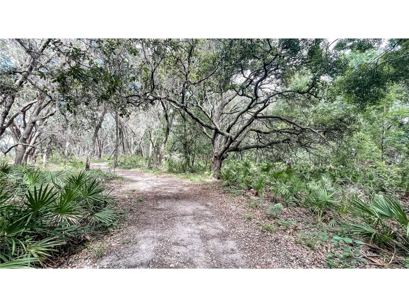 13405 Lake Monroe Place Riverview FL 33579 TB8419452 image29