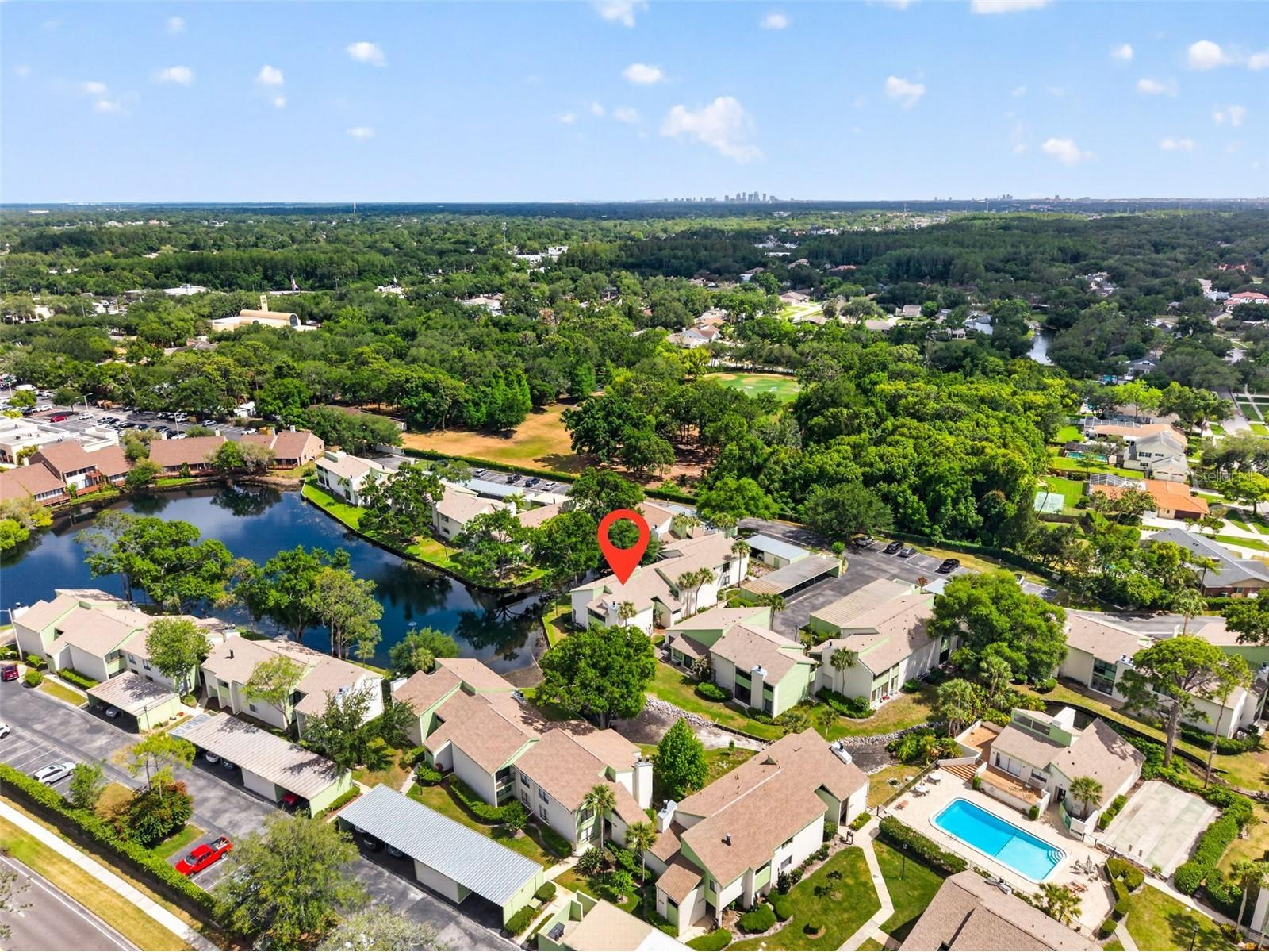 13405 Pine Lake Way #203 Tampa FL 33618 - COMMUNITY POND TB8507916 image4