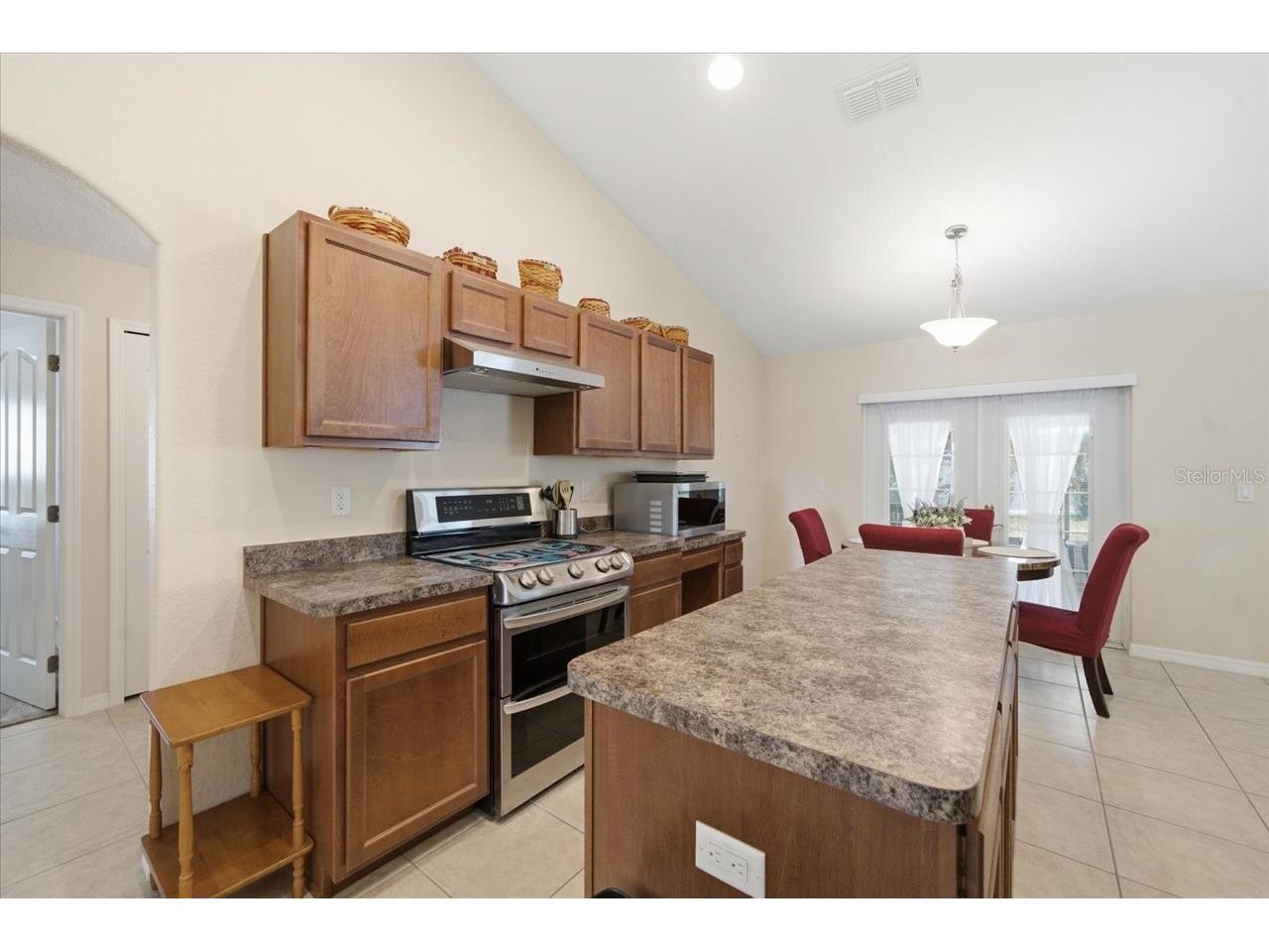 13407 Bondstone Street Spring Hill FL 34609 TB8518704 image21