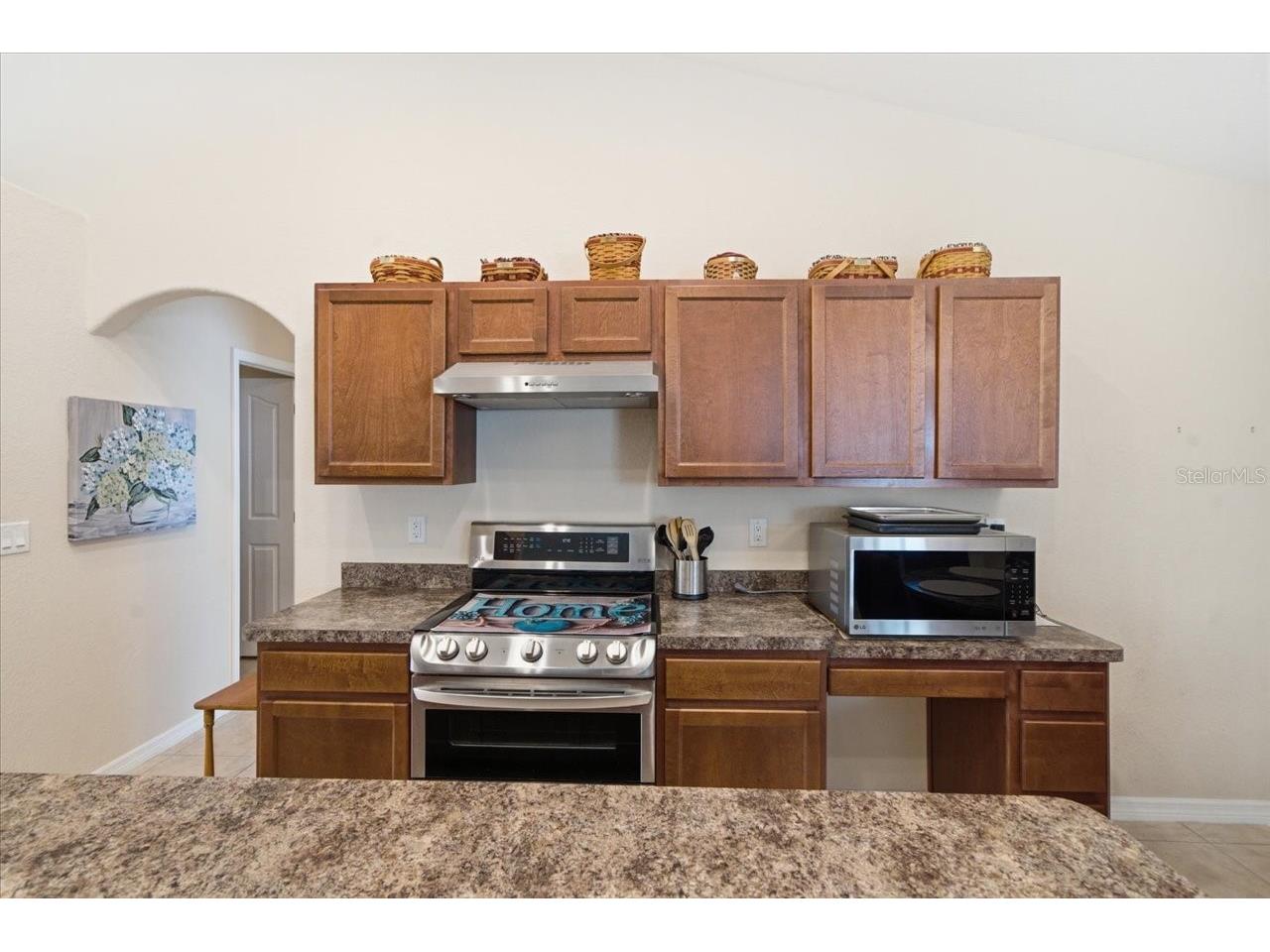 13407 Bondstone Street Spring Hill FL 34609 TB8518704 image25