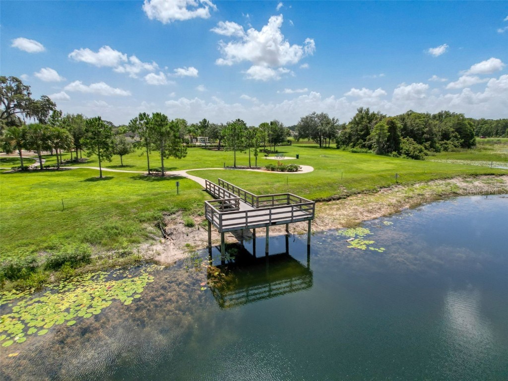 13407 Crest Lake Drive Hudson FL 34669 L4954787 image21