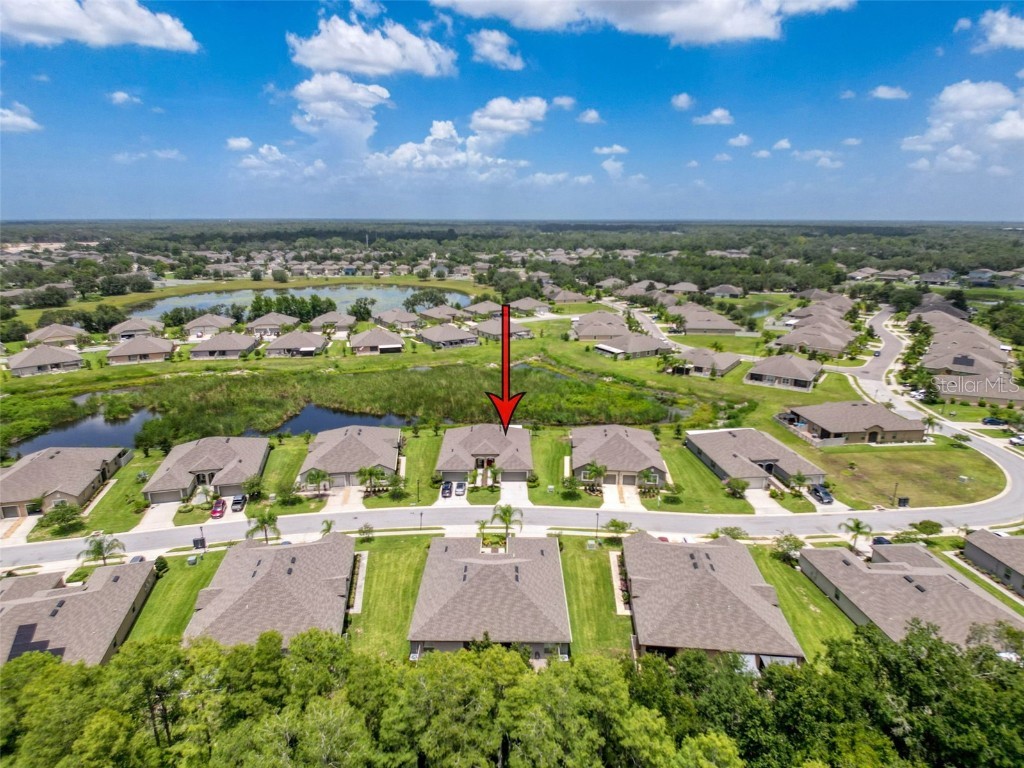 13407 Crest Lake Drive Hudson FL 34669 L4954787 image74