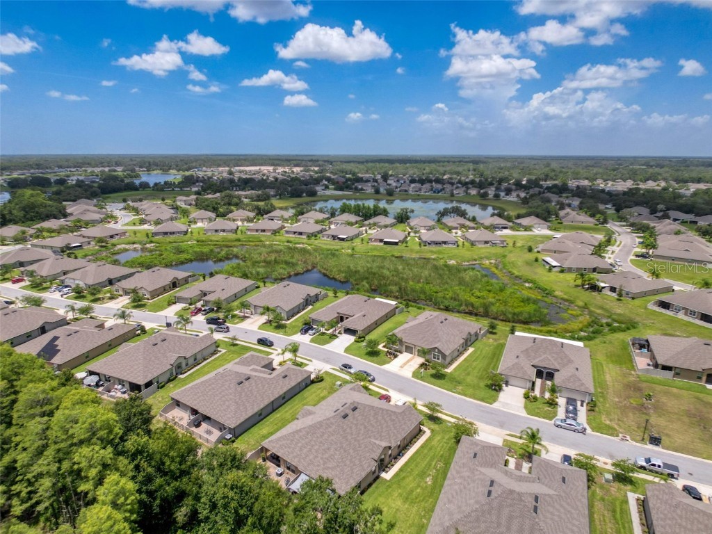 13407 Crest Lake Drive Hudson FL 34669 L4954787 image79