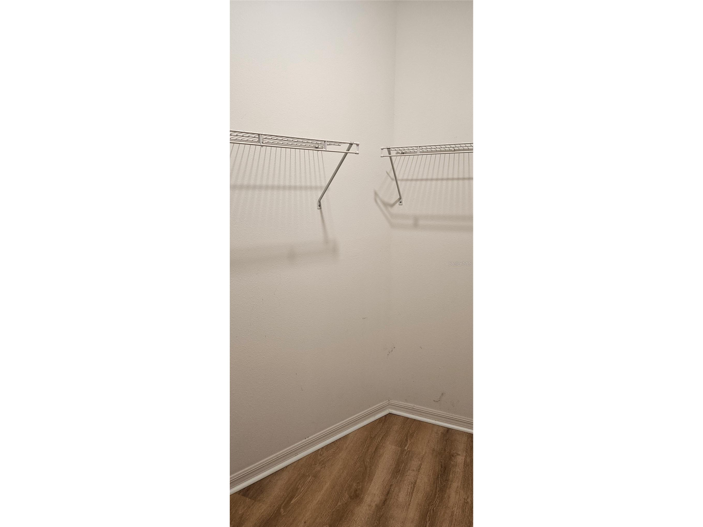 13407 Crest Lake Drive Hudson FL 34669 TB8503389 image15