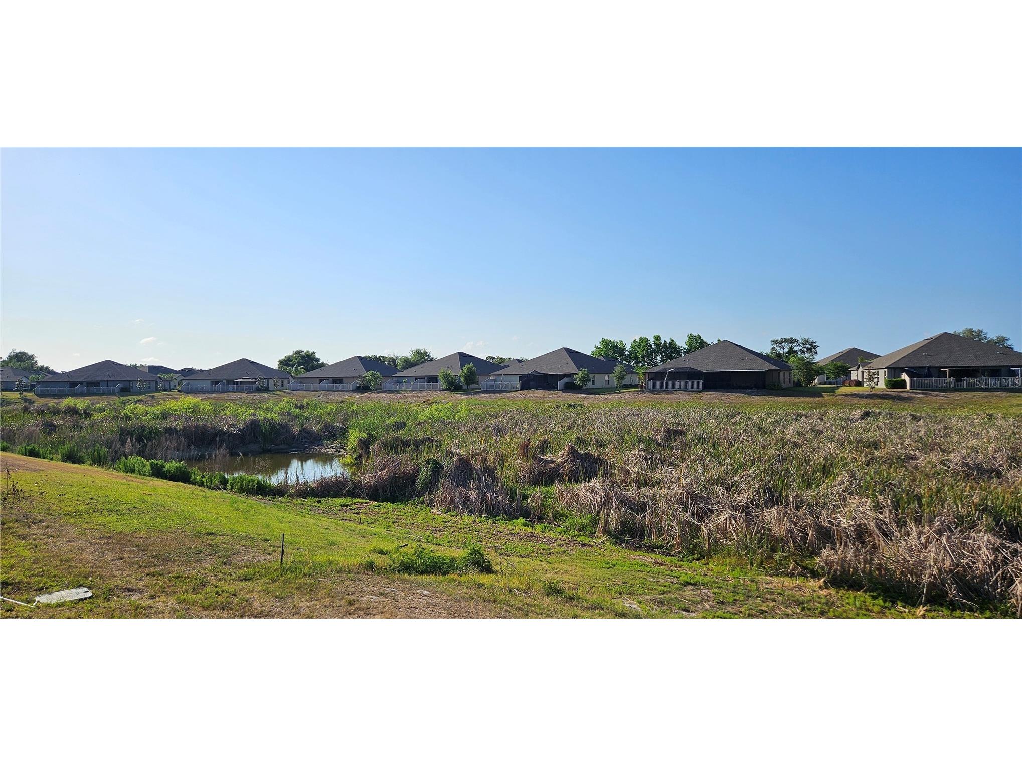 13407 Crest Lake Drive Hudson FL 34669 TB8503389 image23
