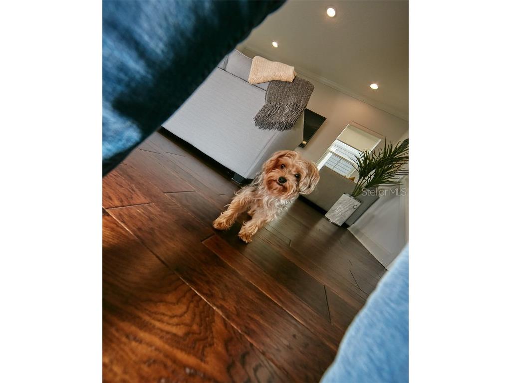 13408 Beebe Alley Orlando FL 32827 O6371880 image21