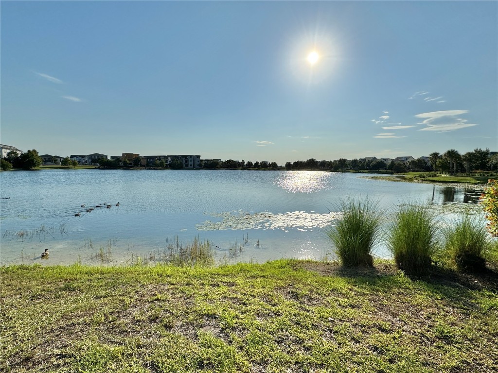 13408 Beebe Alley Orlando FL 32827 O6371880 image54