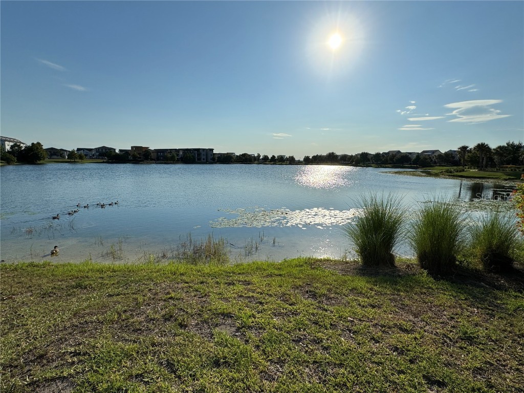 13408 Beebe Alley Orlando FL 32827 O6371880 image55