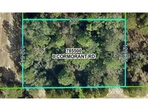 13408 Cormorant Road Brooksville FL 34614 TB8490197 image1