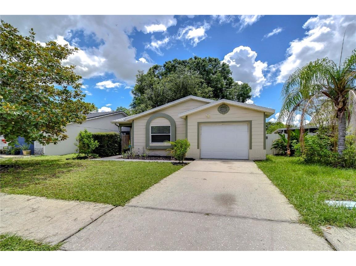 13408 Laraway Drive Riverview FL 33579 T3544465 image1