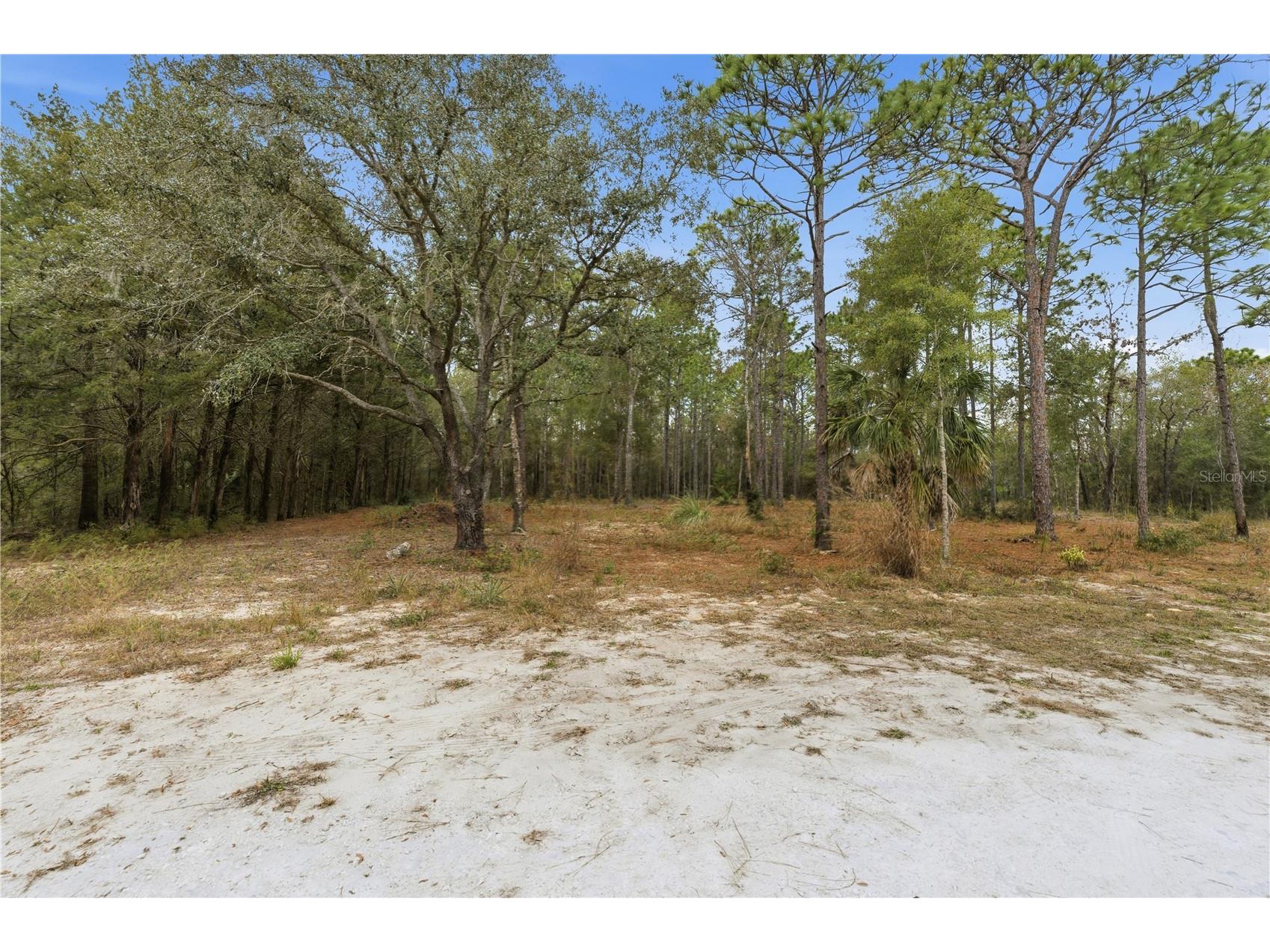 13409 Cormorant Road Brooksville FL 34614 W7882060 image10