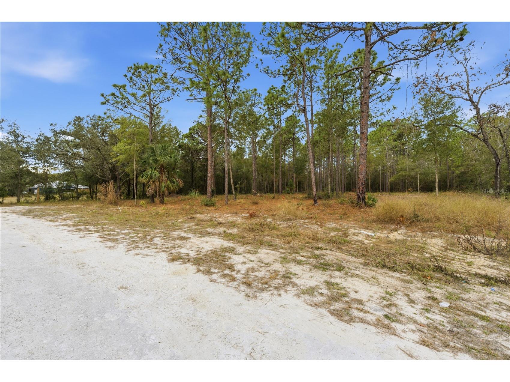 13409 Cormorant Road Brooksville FL 34614 W7882060 image12