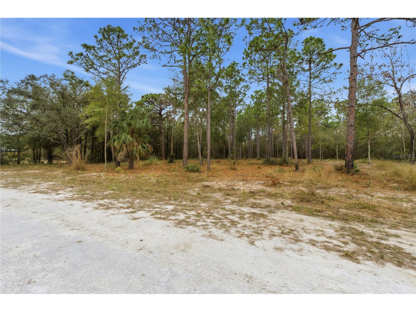 13409 Cormorant Road Brooksville FL 34614 W7882060 image13