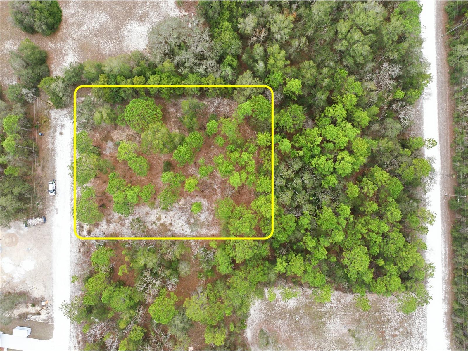 13409 Cormorant Road Brooksville FL 34614 W7882060 image21