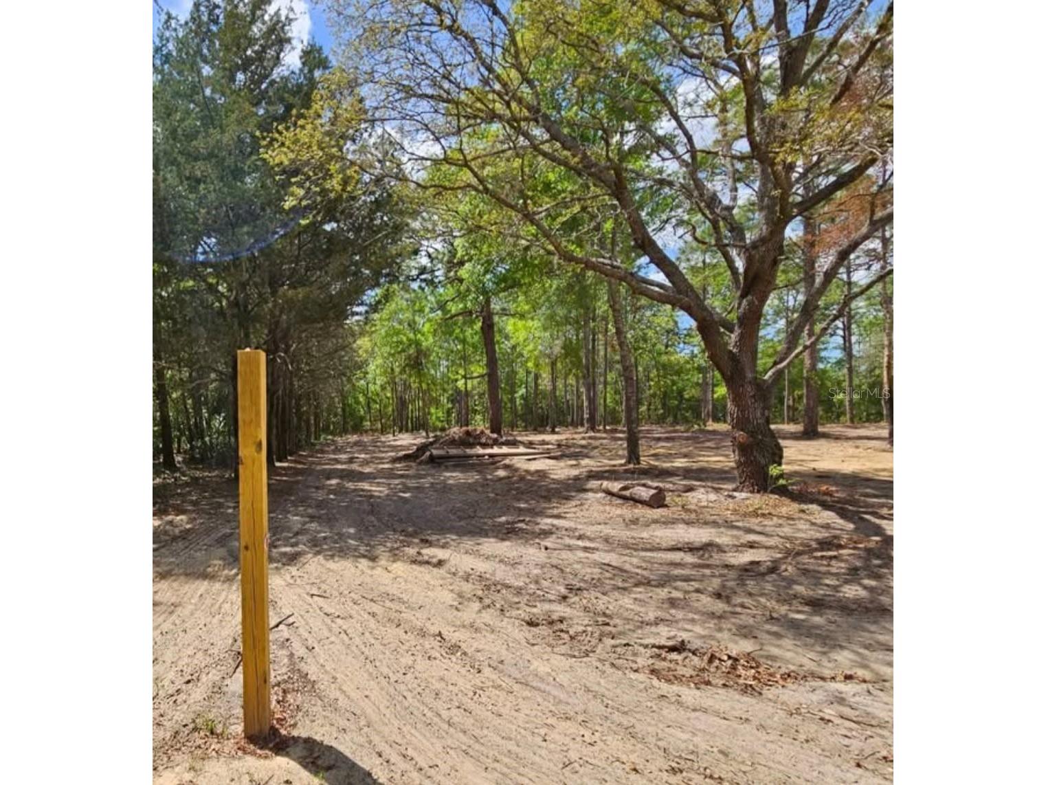 13409 Cormorant Road Brooksville FL 34614 W7882060 image3