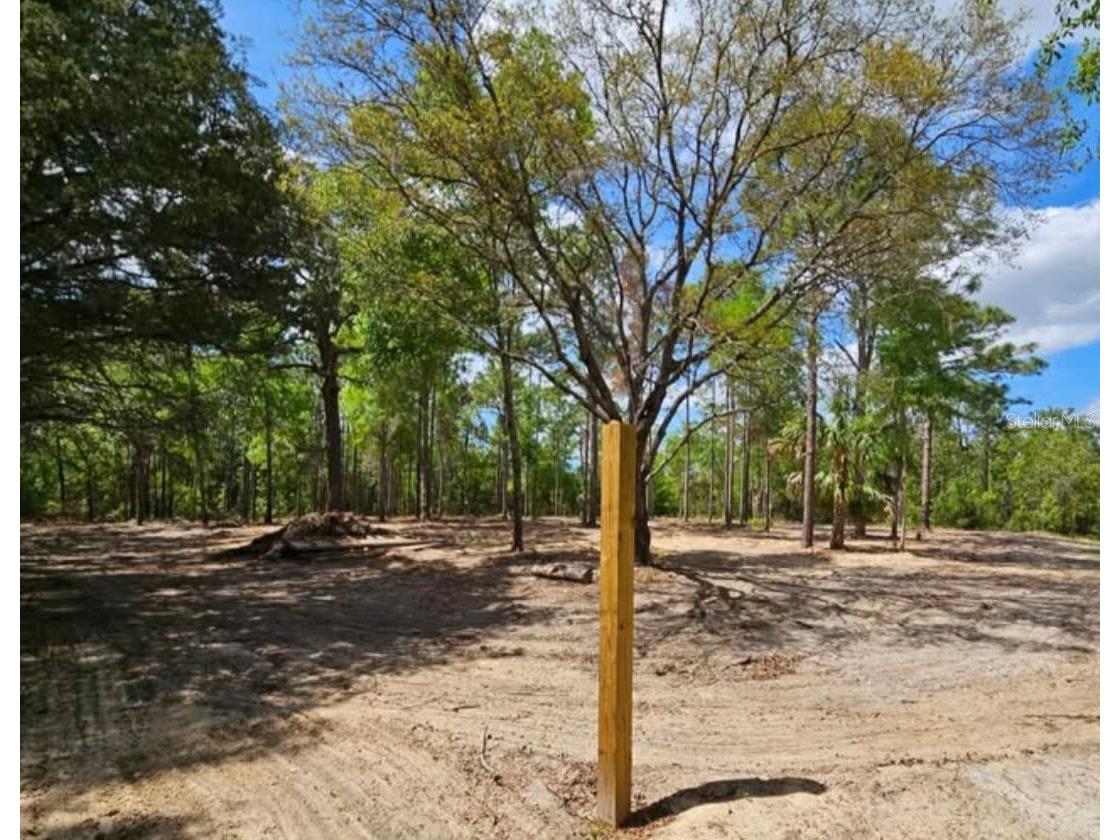 13409 Cormorant Road Brooksville FL 34614 W7882060 image4