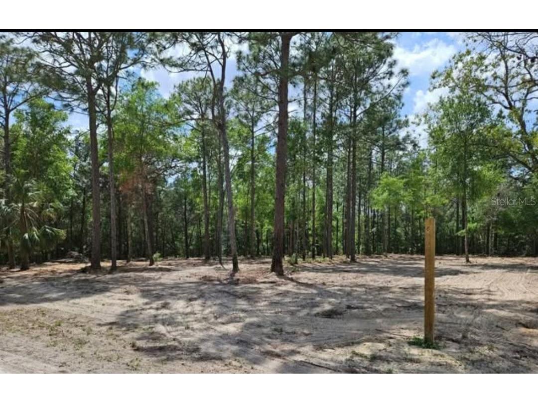 13409 Cormorant Road Brooksville FL 34614 W7882060 image5