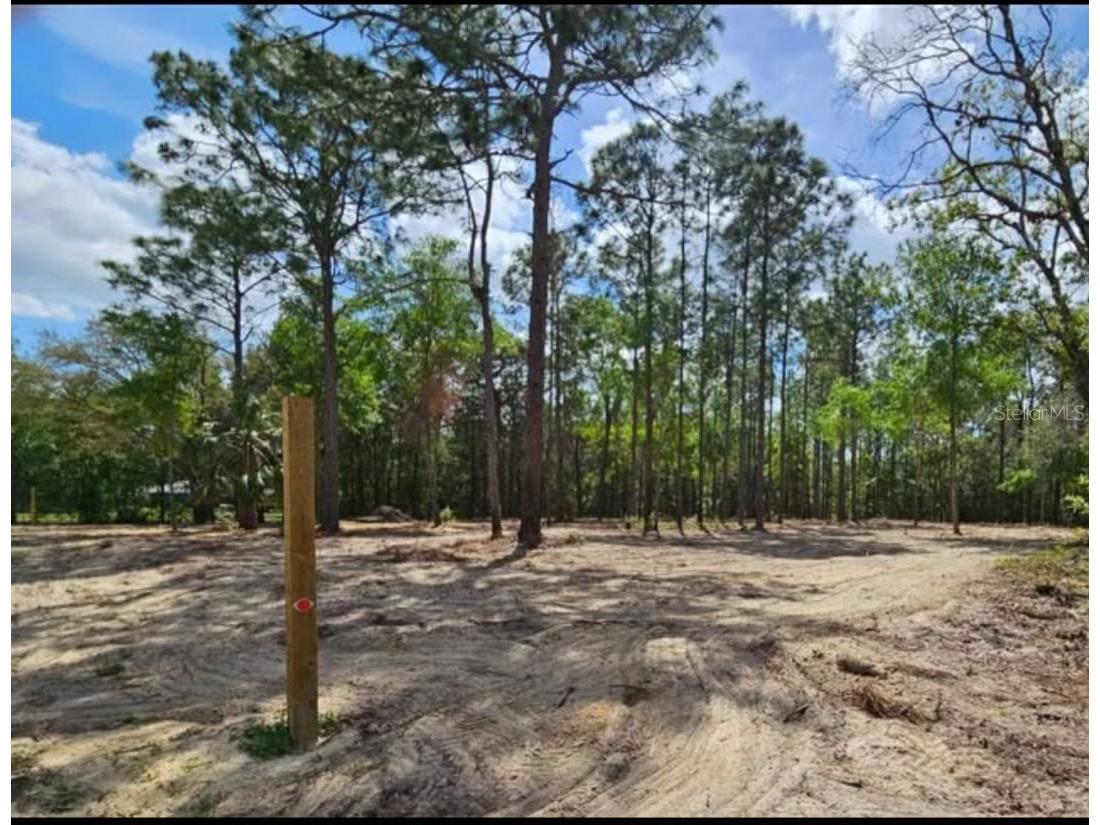 13409 Cormorant Road Brooksville FL 34614 W7882060 image6