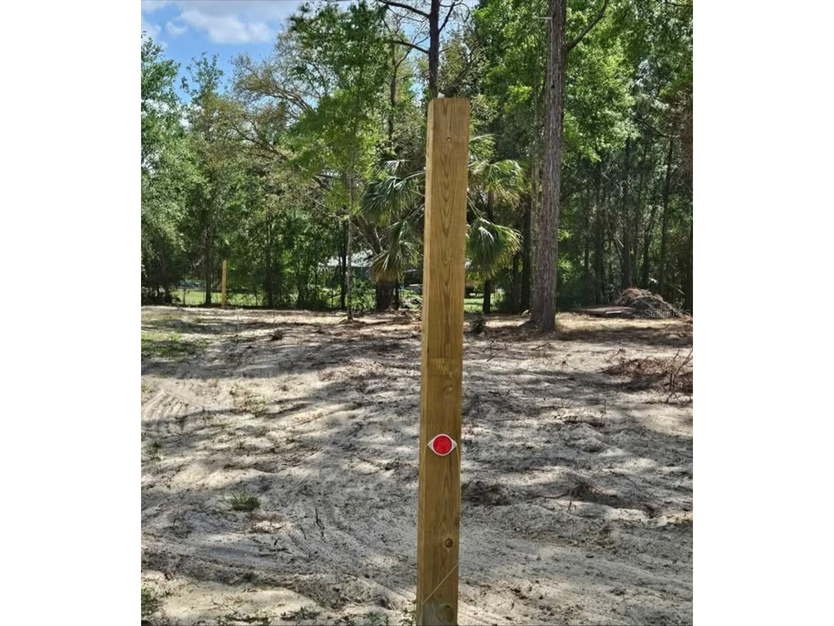 13409 Cormorant Road Brooksville FL 34614 W7882060 image7