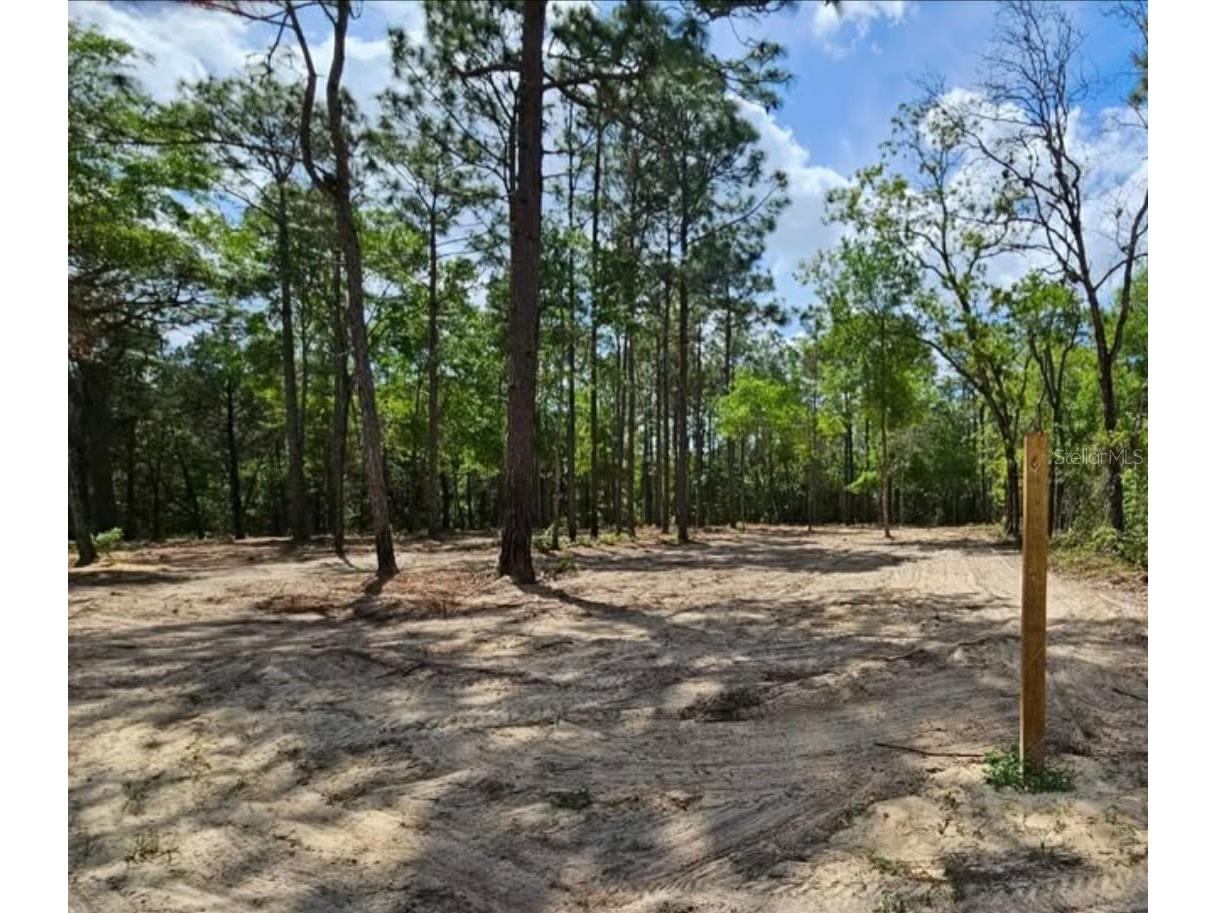 13409 Cormorant Road Brooksville FL 34614 W7882060 image8