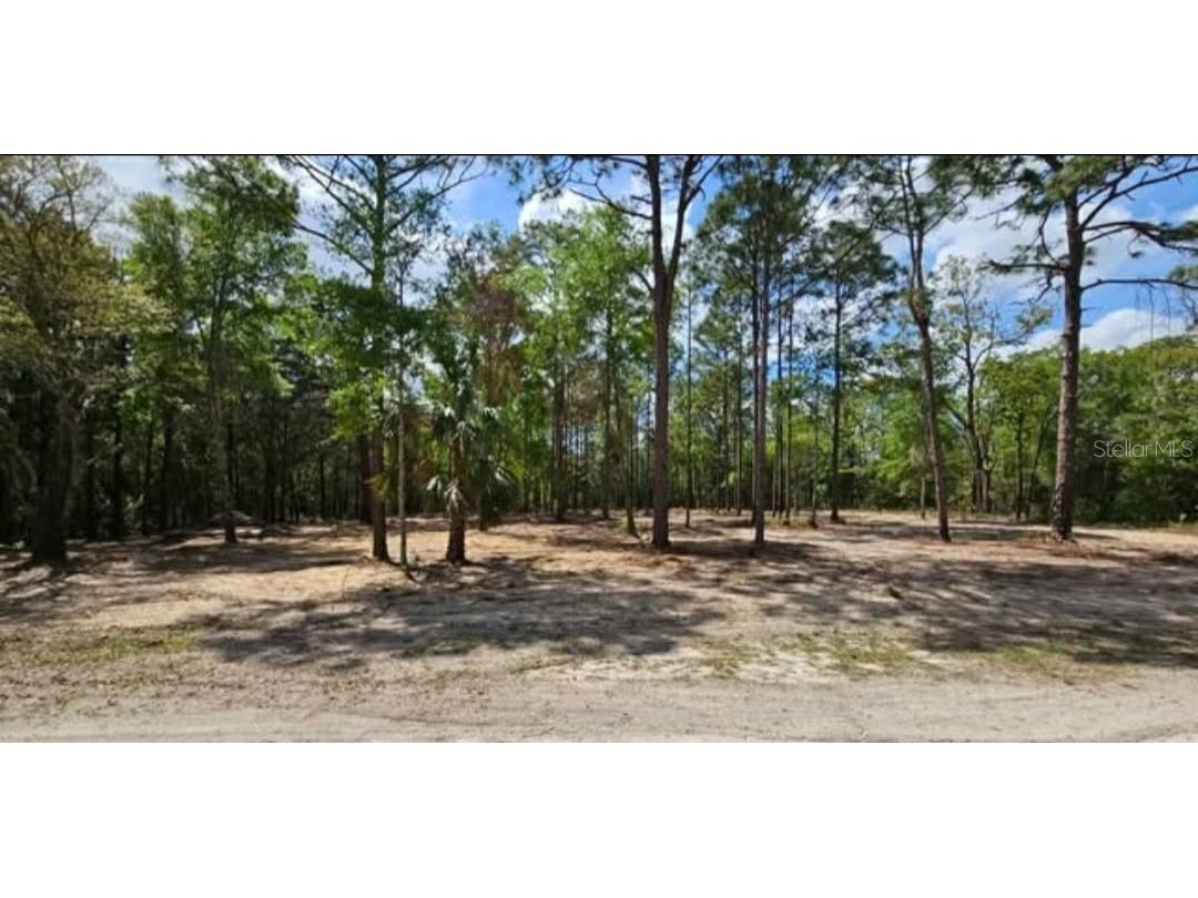 13409 Cormorant Road Brooksville FL 34614 W7882060 image9
