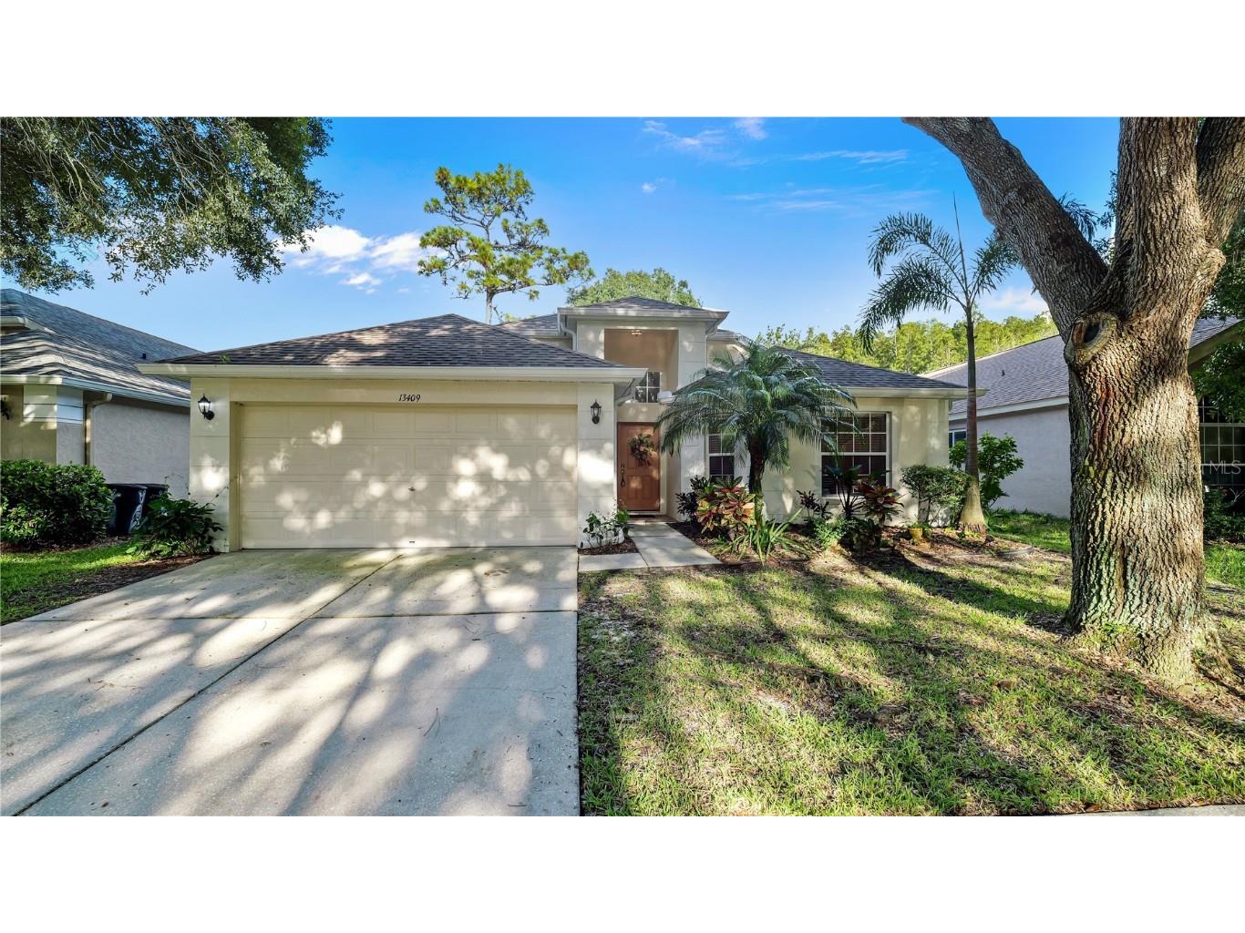 13409 Fawn Springs Drive Tampa FL 33626 - POND T3534401 image1