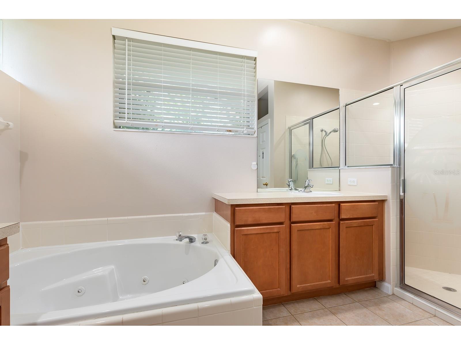 13409 Via Roma Circle Clermont FL 34711 O6392283 image17