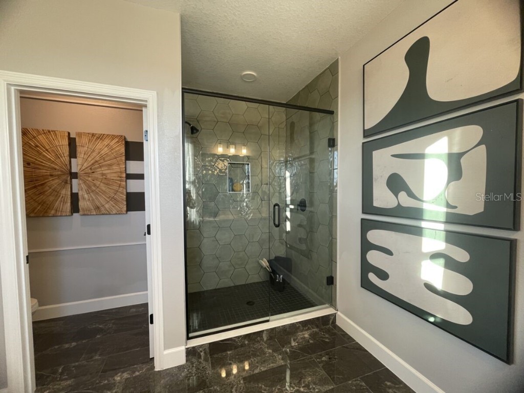 1341 Lumpini Street Saint Cloud FL 34771 O6314062 image21