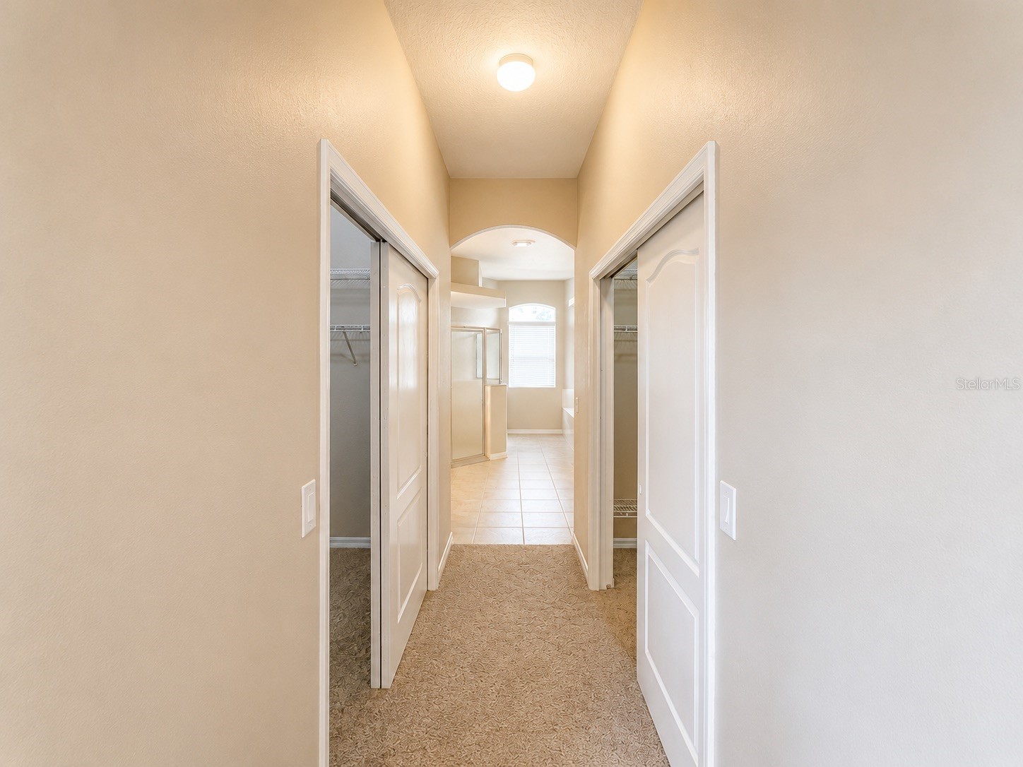 1341 Salmonberry Street Wesley Chapel FL 33543 TB8515622 image21