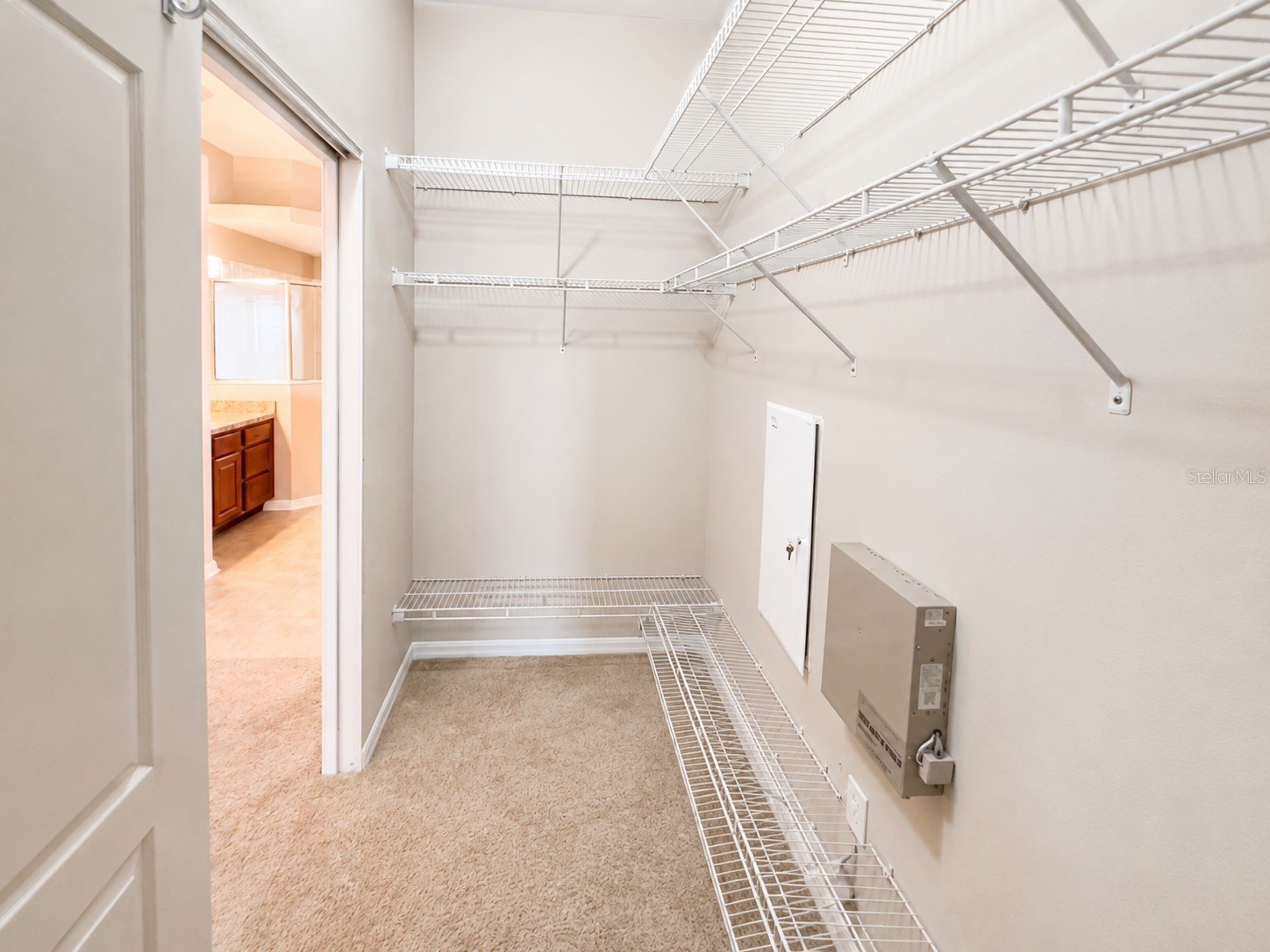 1341 Salmonberry Street Wesley Chapel FL 33543 TB8515622 image22