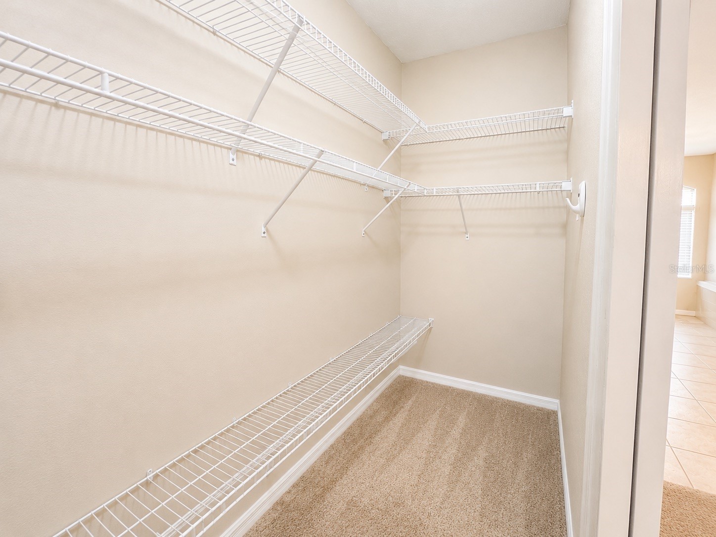 1341 Salmonberry Street Wesley Chapel FL 33543 TB8515622 image23