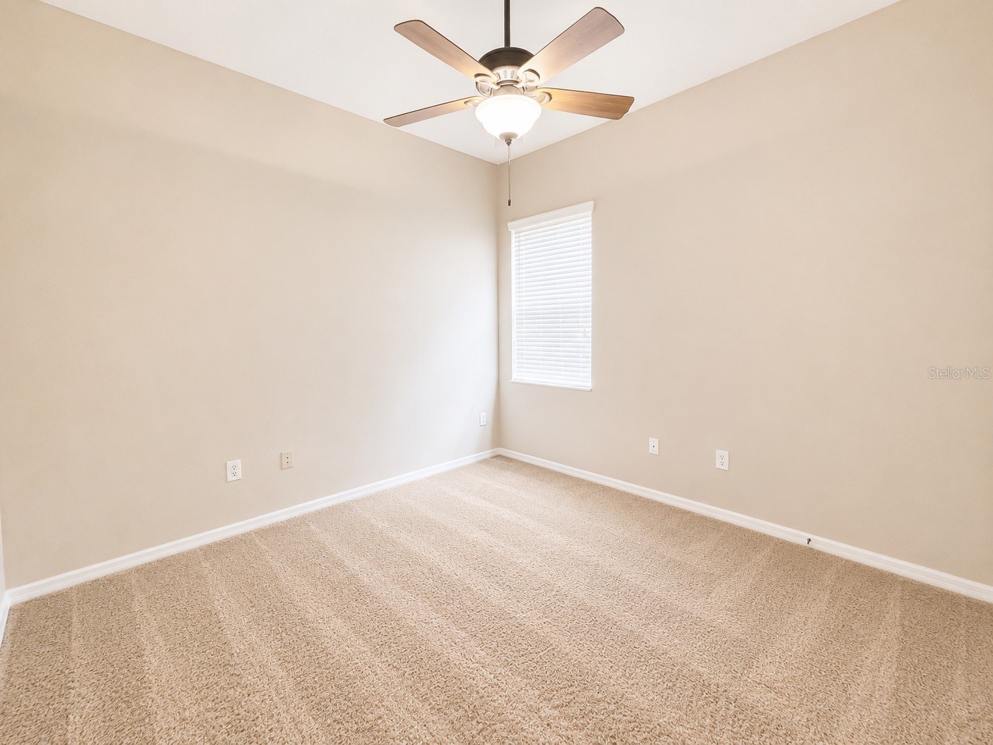 1341 Salmonberry Street Wesley Chapel FL 33543 TB8515622 image26