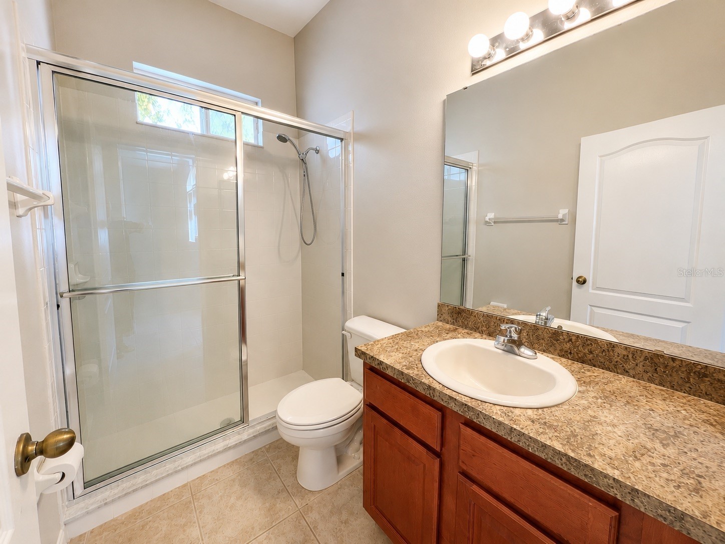 1341 Salmonberry Street Wesley Chapel FL 33543 TB8515622 image30