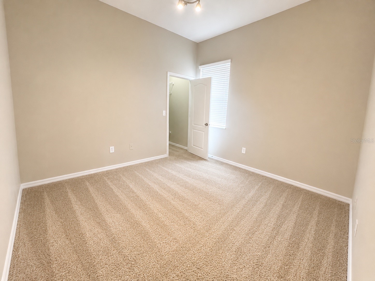 1341 Salmonberry Street Wesley Chapel FL 33543 TB8515622 image31