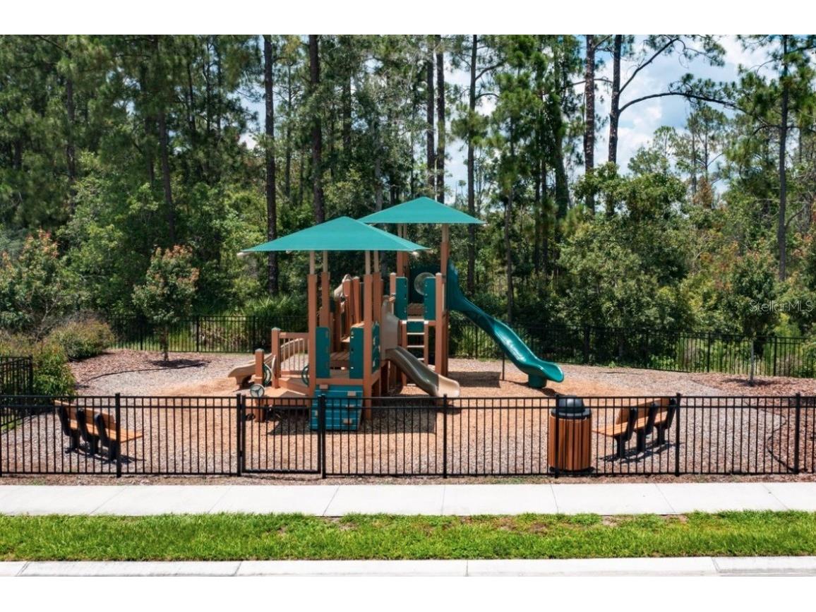 1341 Sawgrass Hammock Lane Davenport FL 33837 O6323887 image4