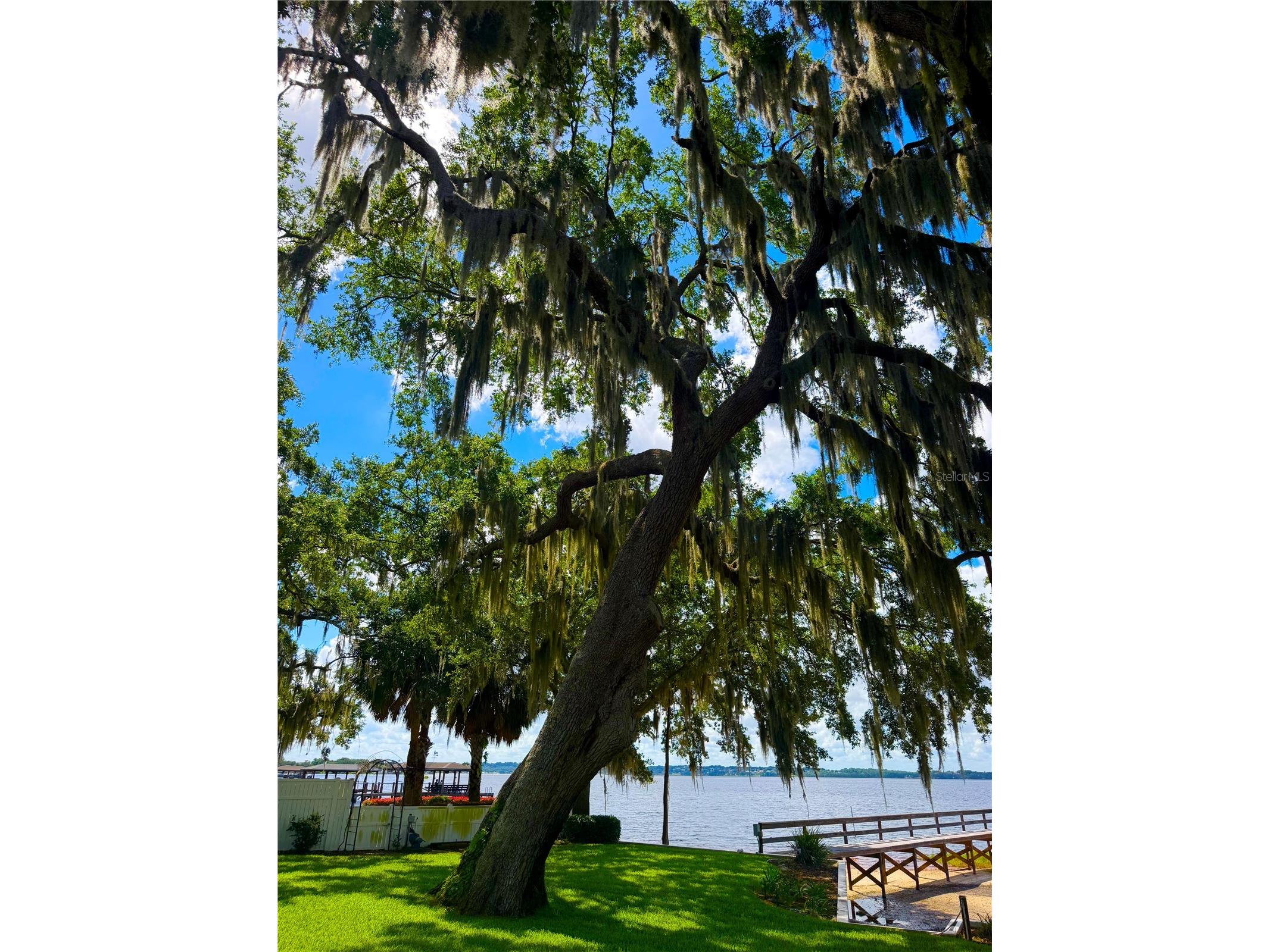 1341 W Lakeshore Drive Clermont FL 34711 - LAKE MINNEHAHA G5113379 image10