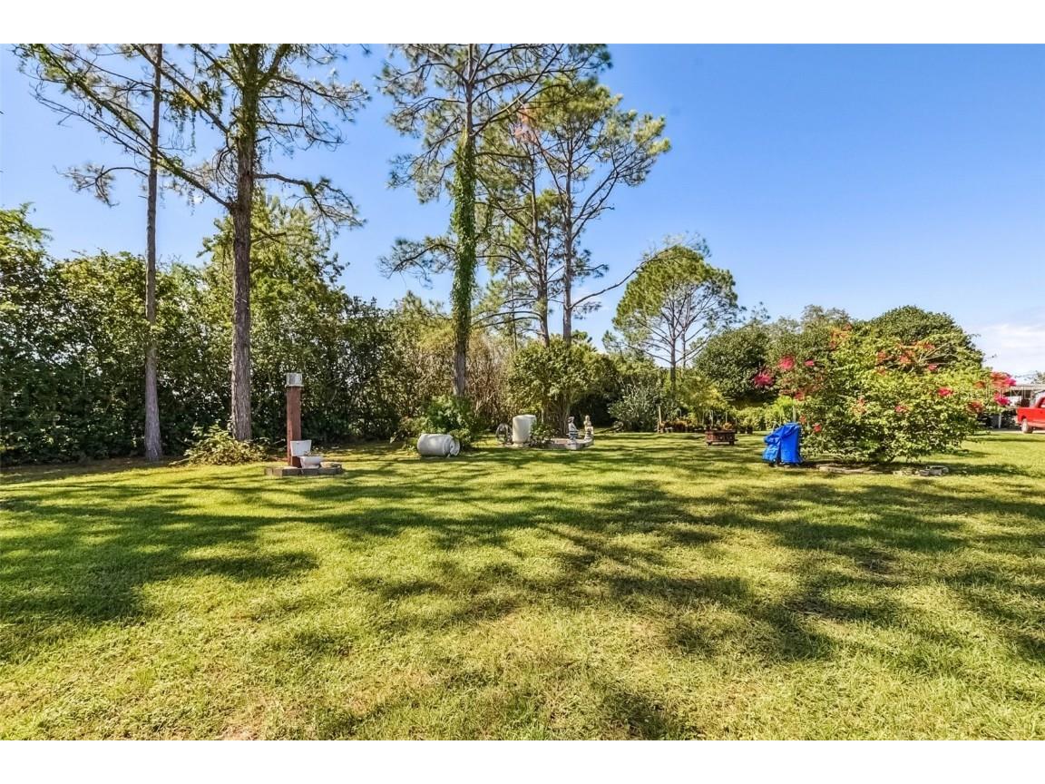 13410 Deer Meadow Lane Grand Island FL 32735 G5102391 image38
