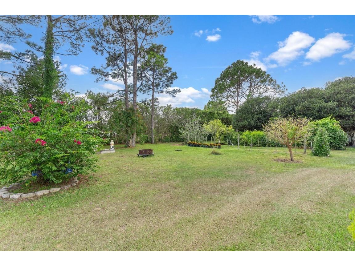 13410 Deer Meadow Lane Grand Island FL 32735 G5102391 image82