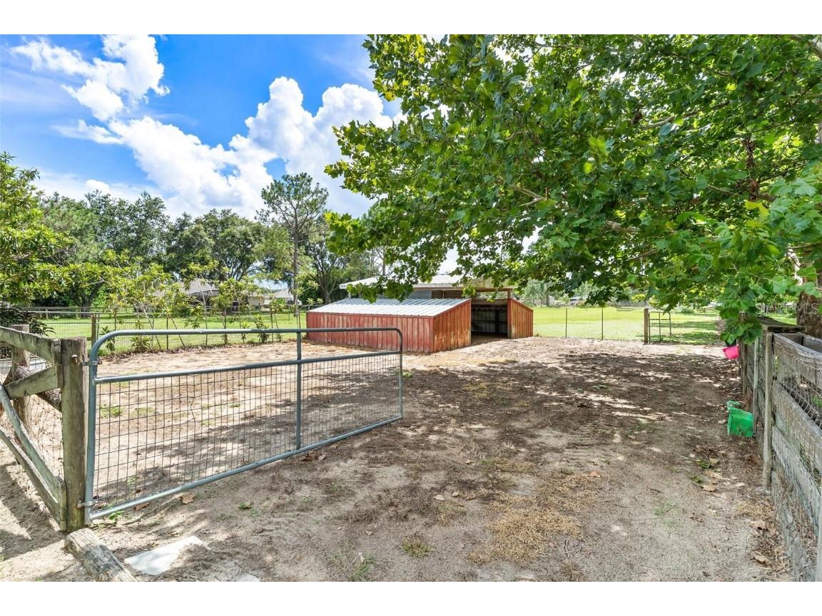 13410 Deer Meadow Lane Grand Island FL 32735 G5102391 image85