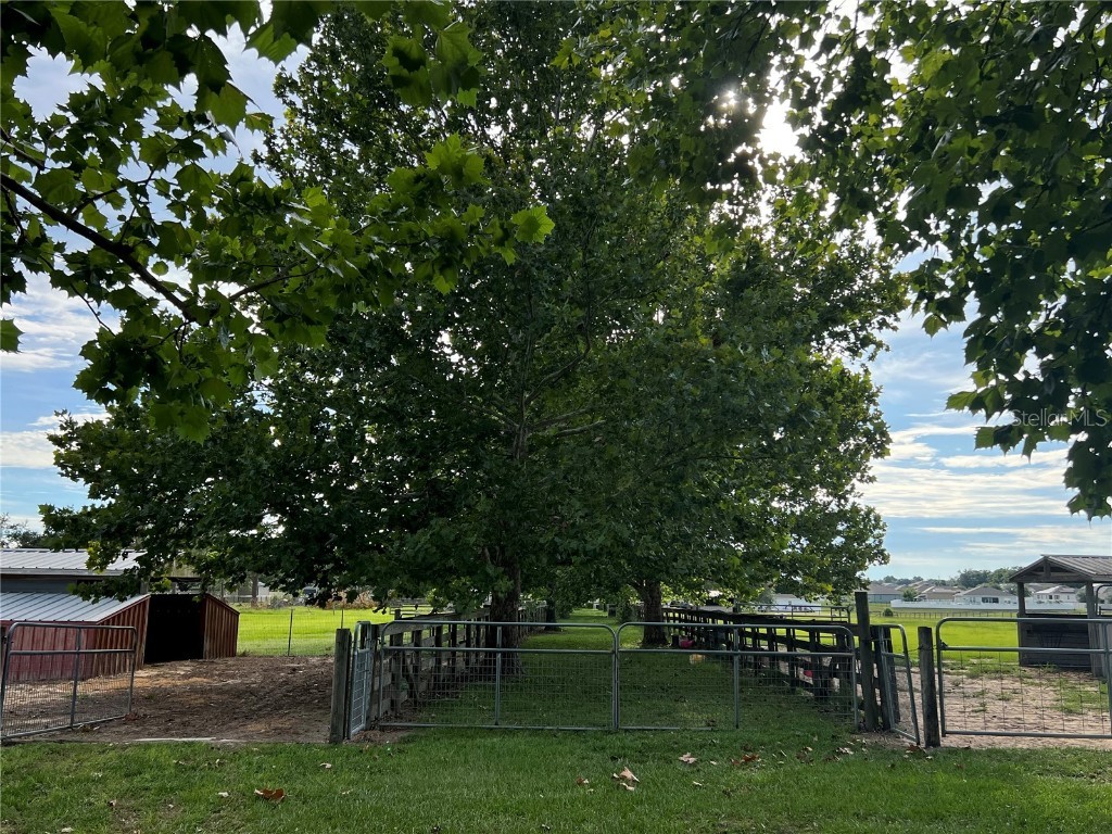 13410 Deer Meadow Lane Grand Island FL 32735 G5102391 image90